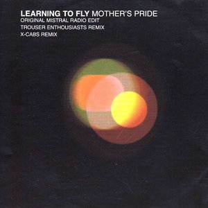 Learning To Fly