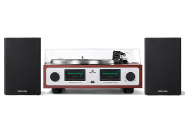 Angels Horn AH6 - HiFi Premium Turntable Speaker System